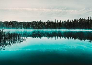 The lake nature landscape