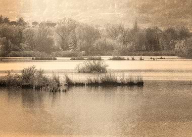 color and reflection on la