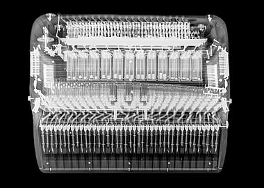 Xray of an Accordion