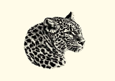 Leopard portrait