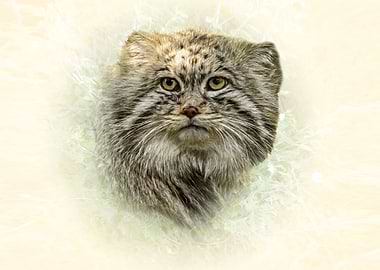 Manul