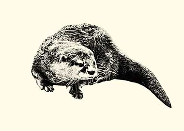 Otter