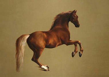 Whistlejacket
