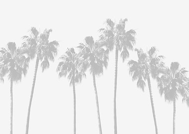 Tropical Palms Vibe 3