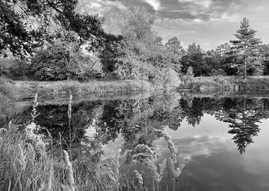 Autumn Lake Mirror B and W