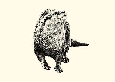 Otter