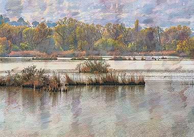 color and reflection