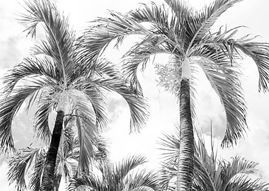 Summer Paradise Palms 3