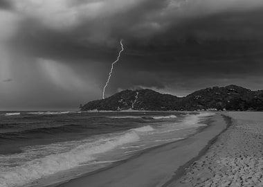 Stromy Ponta Do Ouro