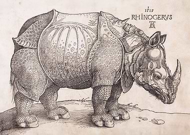 The Rhinoceros