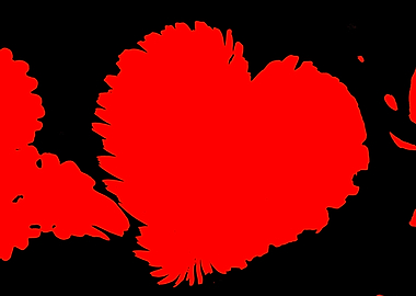 heart dandelion in the mea