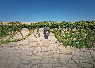 stone and vines fence