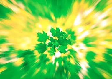 Summer Leaves Blur