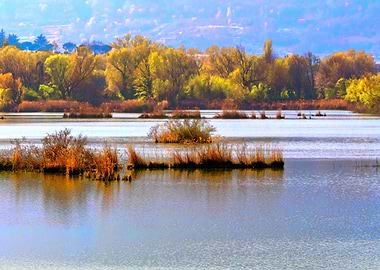 color and reflection on la