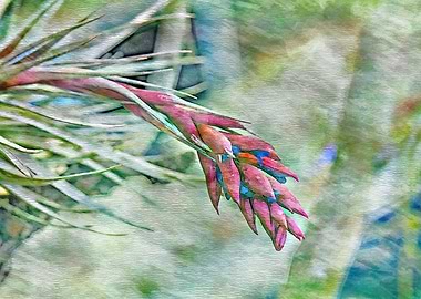 decorative tropical plant