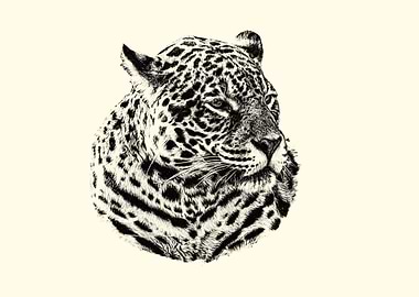 Jaguar portrait