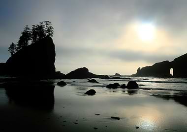 Olympic Park Solitude