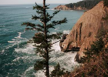 The Oregon Coast