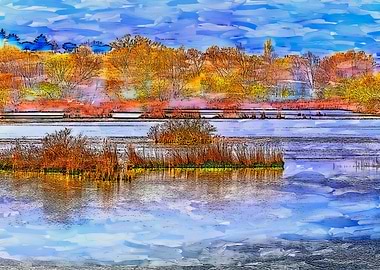 color and reflection