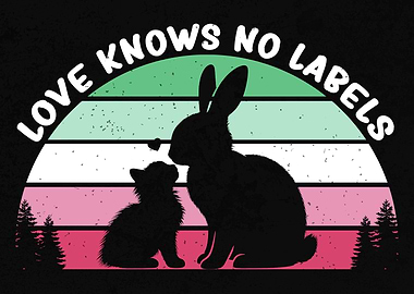 Abrosexual Pride Flag Lgbt