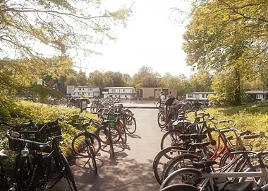 Warm Summer Memories