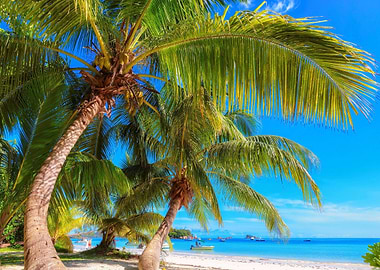 Exotic Beach Travel Ocean