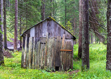 Old building in the woods