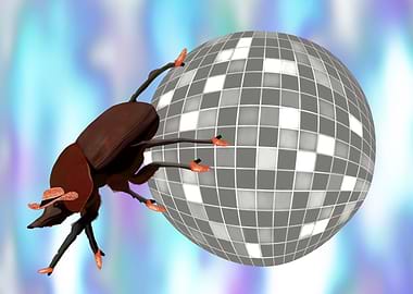 Cowboy Dung Beetle Disco