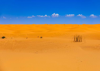 Sahara desert in Tunisia