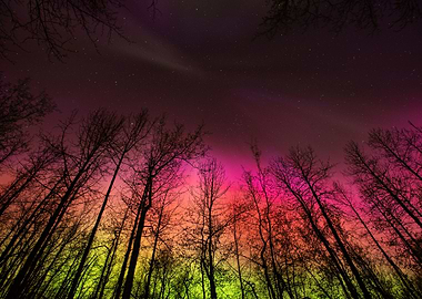 Northern Lights 2