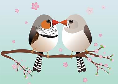 A couple zebra finches