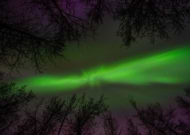 Aurora Monster Colors