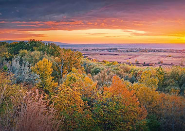 Colorful autumn landscape