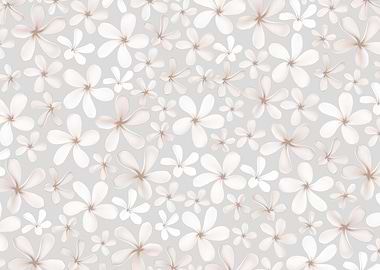 Frangipani Flower Dream 1