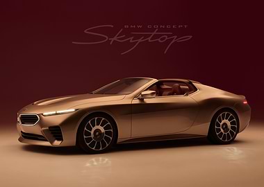 BMW Skytop Concept