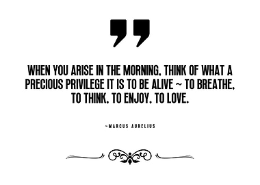 Marcus Aurelius Quote