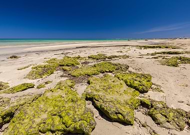 Holiday view of azure sea