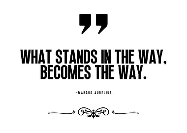 Marcus Aurelius Quote