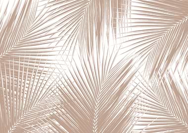 Soft Brown Palm Leaves 1