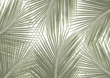 Green Palm Leaves Finesse