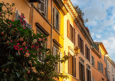 Trastevere colorful houses