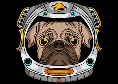 Dog Helmet Astronaut