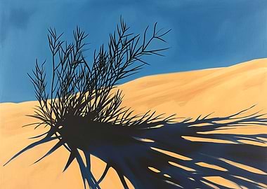 Desert plant shadows on sa