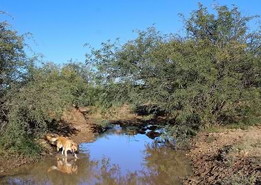 Summer day in the nature