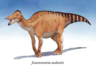 J is for Jaxartosaurus