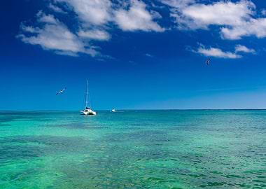 Catamaran cruise to island