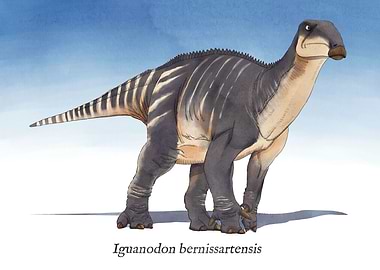 I is for Iguanodon