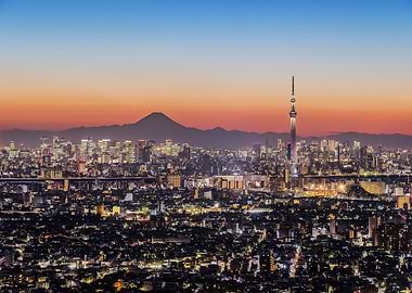 Tokyo night view Art