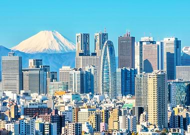 Tokyo Snowy Fuji mount