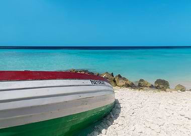 Playa PortoMari Boat Dream